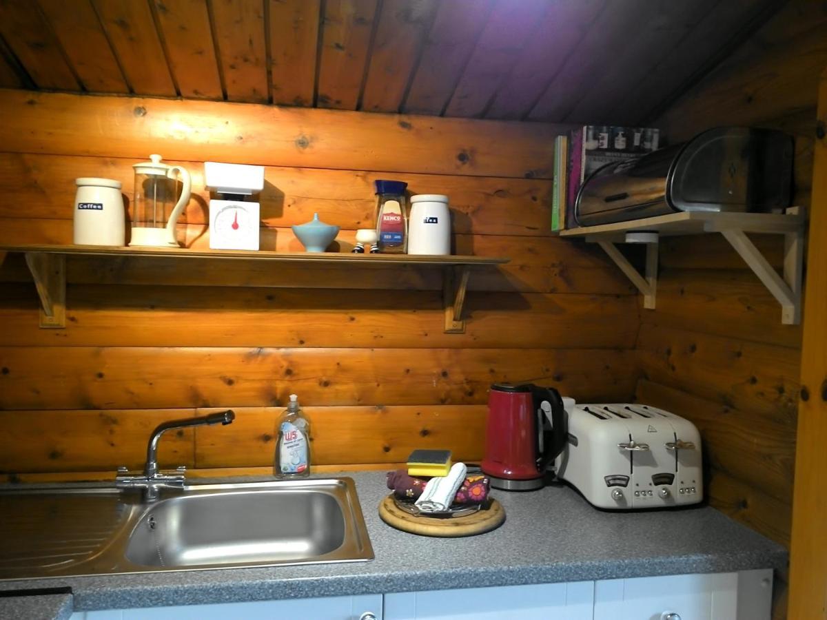 Villa Shifty Chicken Shack à Trawsfynydd Extérieur photo